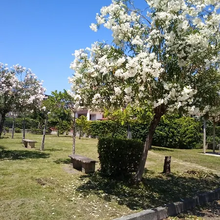 Lovely 2 Min From The Beach *